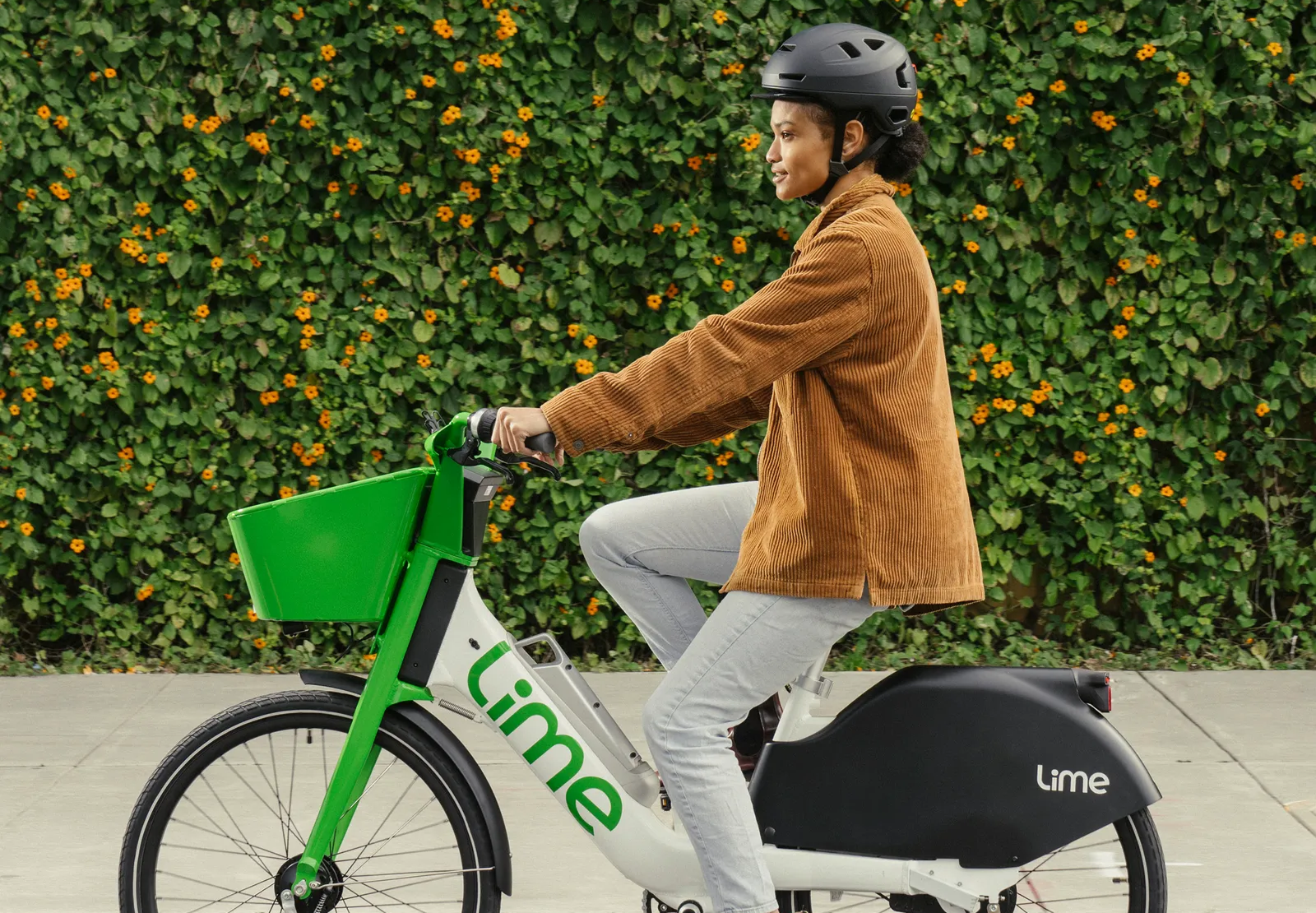 Sistema de validació de passis Navegante per a Lime. — Lime